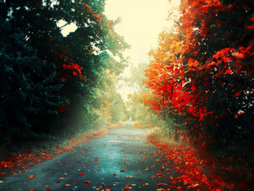 快速原型设计的DDOS测试